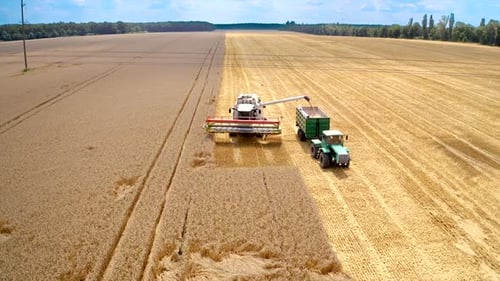 Agriculture machinery working on field in summer.