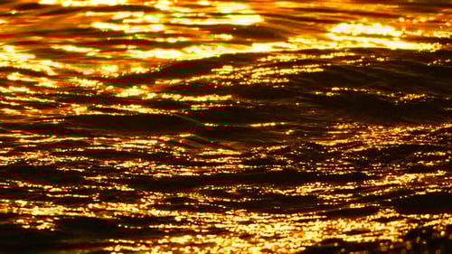 Golden Water Waves Ocean Beautiful Sunlit Reflections on the Dark Surface at Sunset