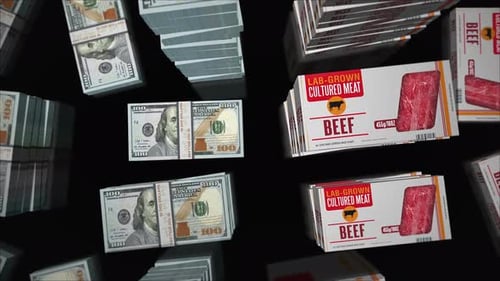 Cultured meat lab-grown box and UK Dollar money pack loop 3d