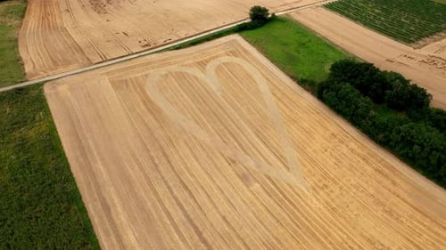 Crop Circle - Heart On The Field With Ripe And Golden Crops. - aerial shot