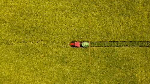 Sprayer Tractor on Farming Field of Yellow Blooming Canola Pesticide Water Nitrogen Fertilizer Spray