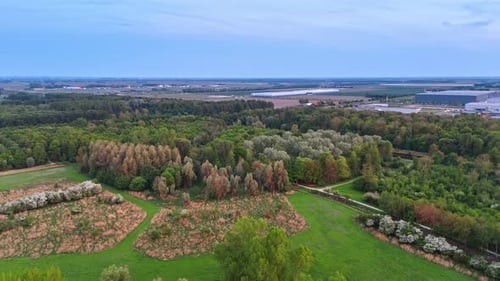 Green fields and trees. Aerial view of a green landscape with diverse trees, fields