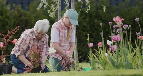 Woman and Child Plant Flowers Together in the Backyard of the House