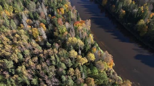 Aerial view of colorful autumn trees along a serene riverbank