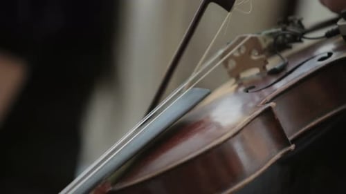 Playing the Violin Closeup