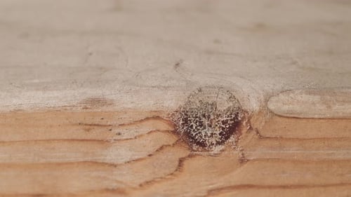 Close Up of Wooden Knot Details