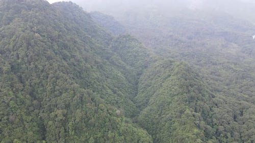Aerial view of Merapi Mountain in indonesia with tropical forest around it