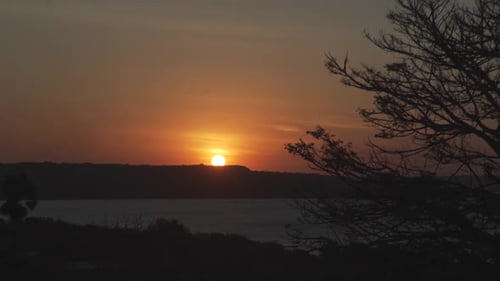 Sunset Over Ocean With Silhouette Trees