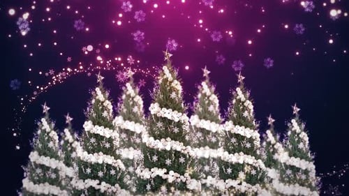 Sparkling Christmas Trees with Falling Snowflakes and Golden Stars