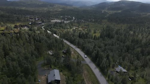 Aerial shot of van driving in the road between the pine tree forest. Aerial view of green summer for