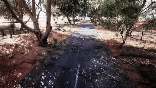 A Scenic Road Surrounded By Trees and Dirt