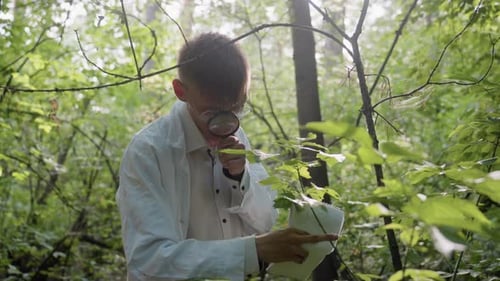 Young Man Using Microscope and Jotter to Study Leaves in Forest