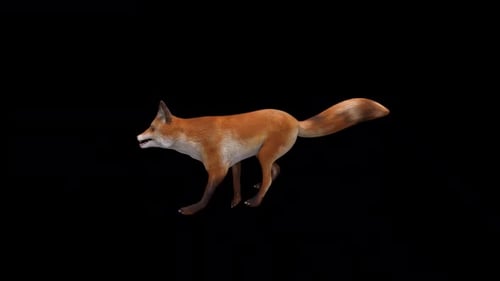 Red Fox Run Loop