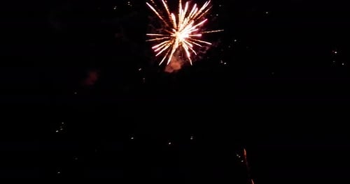 Brilliant Fireworks Exploding in the Night Sky