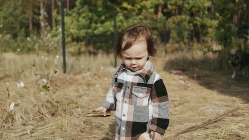 Young Child Walks with Stick Near Dog