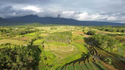 Wunderschöner Blick auf den Morgen, Indonesien, Panoramalandschaft, Reisfelder mit Schönheit, Farbe und natürlichem Himmel.