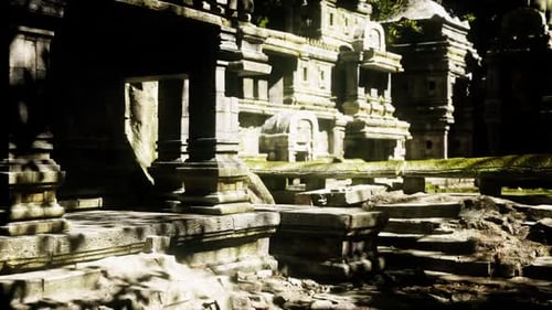 Explorez les ruines des anciens temples du Cambodge, entourées de mystère et d'histoire