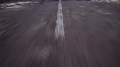 Eine kurvenreiche Straße mit Schatten von den umliegenden Bäumen entlang fahren