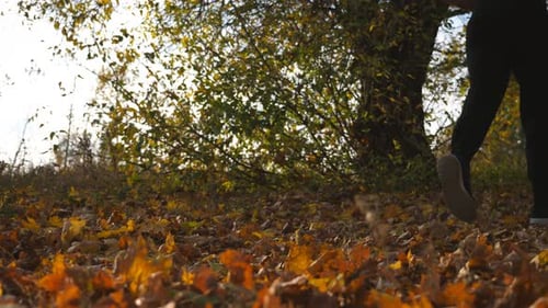 Unrecognizable Sportsman Running in Autumn Park Stepping on Dry Maple Leaves Male Runner Jogging on