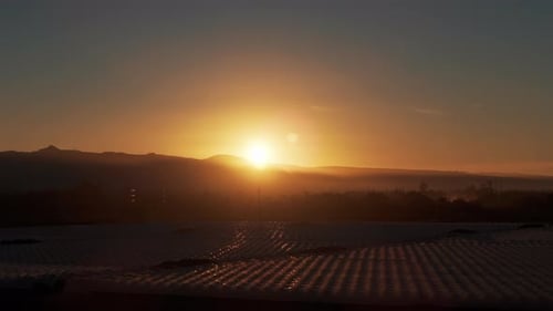 Sonnenaufgang oder Sonnenuntergang, Saatbeet von Weinbergen, landwirtschaftlichen Feldern auf dem Land, Weinrebenreihen und