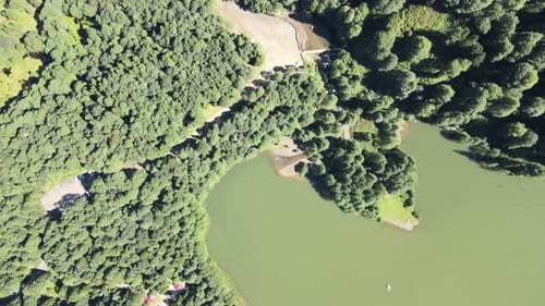 green lake forest nature