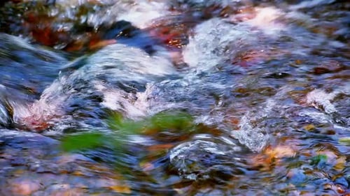 Water Flowing Over the Stones in Forest River Blurred Motion
