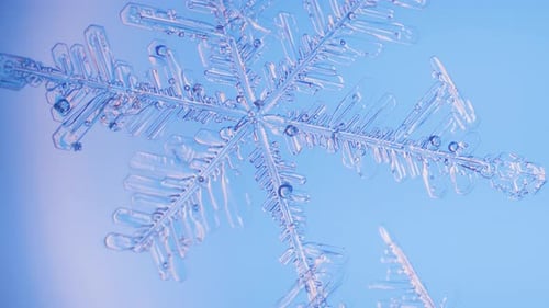 Snowflake close up under microscope panning view blue background fine details