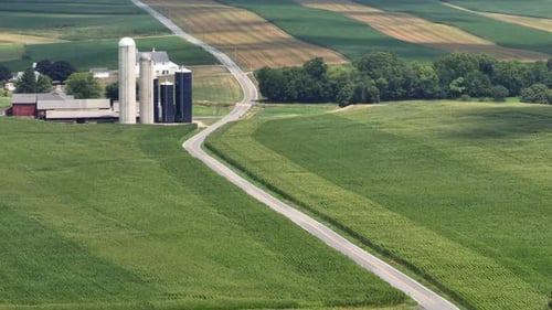 Rural farm scene in USA. Barns and silos amidst rolling fields of green crops. Farm buildings and pa