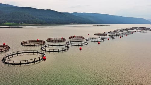 Fishing Cages for Breeding Fish in Lake in Mountain Valley of Rhodope Mountains Under Cloudy Sky