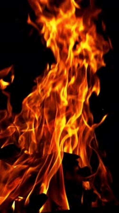 Bonfire. The fire is lit in the night. Slow motion Vertical video