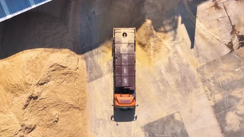 Exploring a modern wood processing plant and its dynamic operations