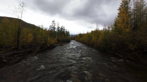 A drone glides smoothly over a peaceful river, showcasing vibrant autumn foliage along the banks in
