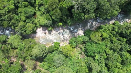 Aerial View of Tropical Forest and River
