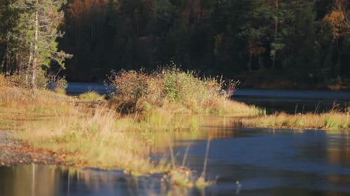 A shallow river with small islands of withered grass, set against the backdrop of an enchanting autu