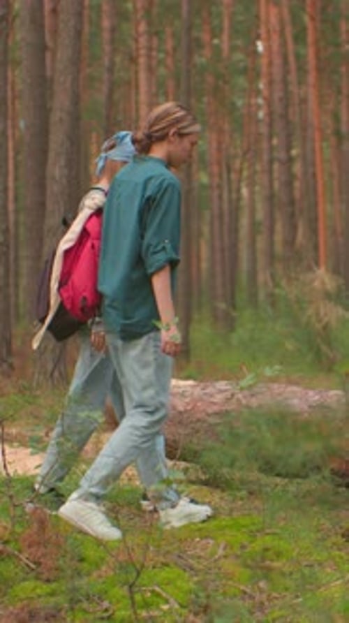 Women Approach Fallen Tree in Lush Forest
