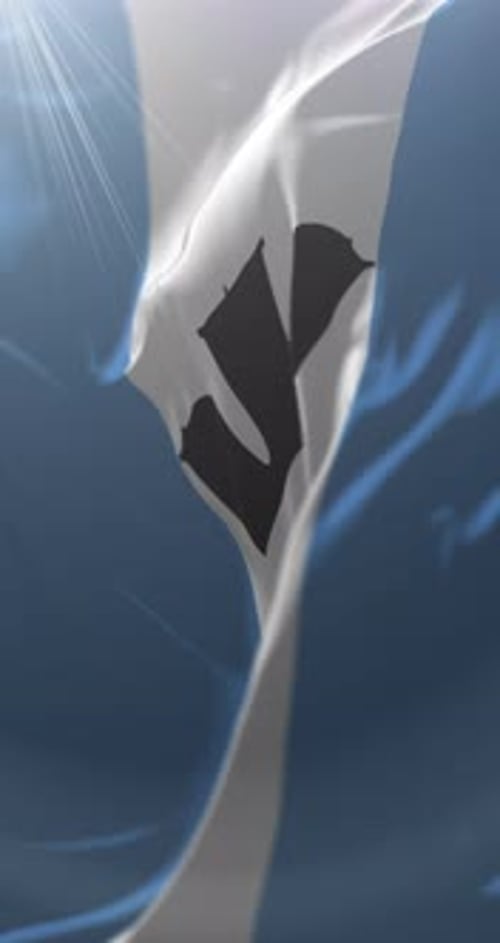 Vertical Waving Flag with Abstract Symbol Background