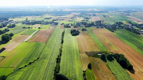 Vue aérienne de la zone agricole et des champs verdoyants ondulés par temps ensoleillé. Industrie agronomique. Agraria