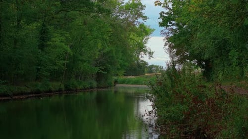 Path Running Along Riverbank with Dense Forest Reflecting in Calm Water Water Reflecting Forest