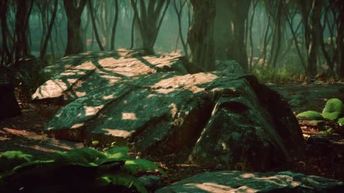 Bosque encantado bajo una luz mágica