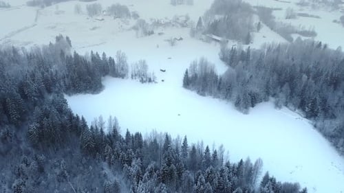 Misty Forest Covered With Snow During Winter Season. - aerial tilt down