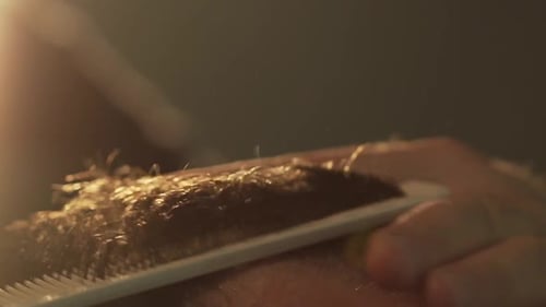 Stylish Haircut with Scissors Close Up