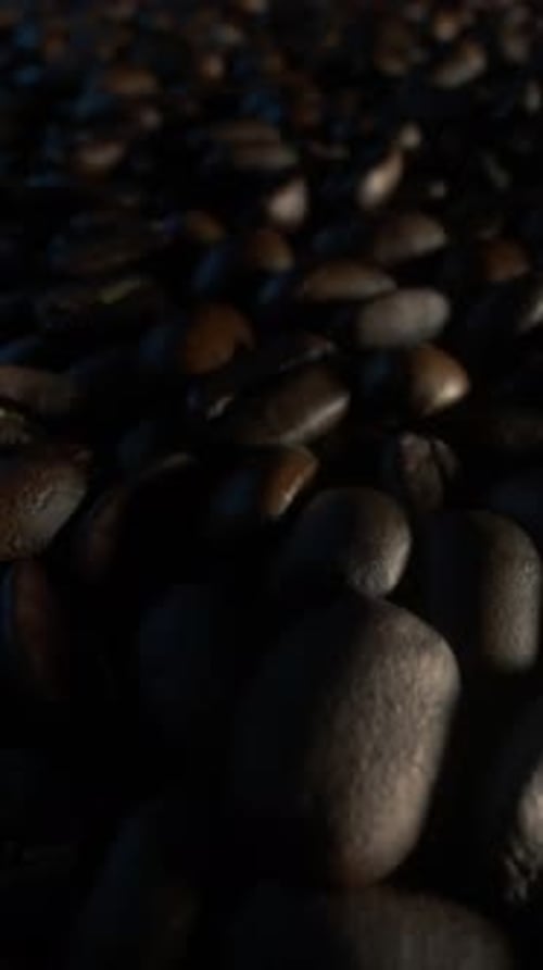 Realistic Coffee Beans Falling Loop Animation Vertical