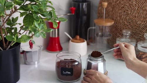 Preparing Ground Coffee with Moka Pot in Kitchen