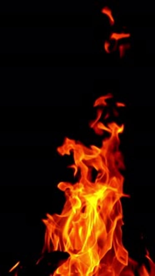 Brennendes Feuer. Lagerfeuer. Nahaufnahme brennender Flammen auf schwarzem Hintergrund, Zeitlupenvideo, Vertikales Video