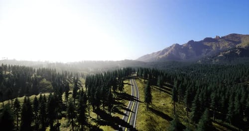 Estrada panorâmica de montanha cercada por florestas exuberantes sob um céu claro