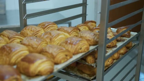 Fresh Baked Croissants on Rack in Bakery