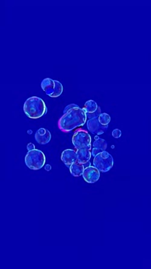 Iridescent Floating Bubbles Animation on Blue Background
