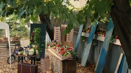Empty Greenmarket Place Stand with Natural Bio Produce From Own Garden