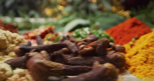 Variety of Colorful Spices and Herbs