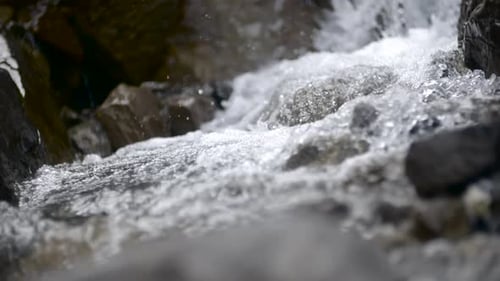 Pure Fresh Water Stream In Mountains Clean Water River Flowing